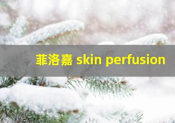 菲洛嘉 skin perfusion